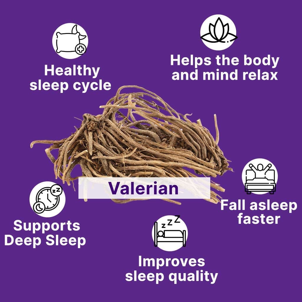 Sleep Gummies with KSM 66 Ashwagandha and Valerian Root for Blissful Sleep - Pack of 2