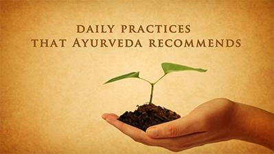 The Ayurveda Experience - Fundamentals of Ayurveda on Diet, Exercise, Meditation, Beauty and Body Work - Digital