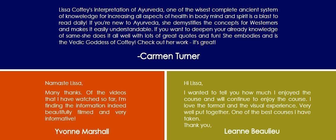 The Ayurveda Experience - Fundamentals of Ayurveda on Diet, Exercise, Meditation, Beauty and Body Work - Digital
