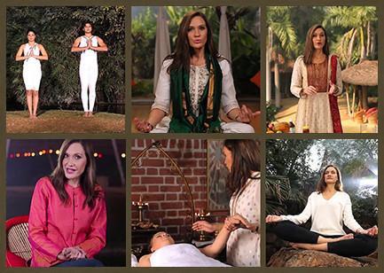 The Ayurveda Experience - Fundamentals of Ayurveda on Diet, Exercise, Meditation, Beauty and Body Work - Digital