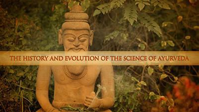 The Ayurveda Experience - Fundamentals of Ayurveda on Diet, Exercise, Meditation, Beauty and Body Work - Digital