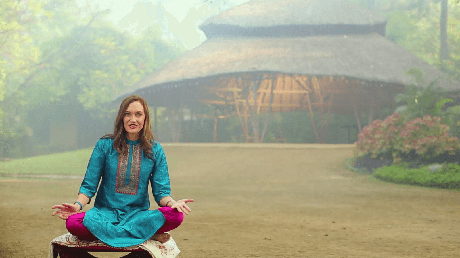 The Ayurveda Experience - Fundamentals of Ayurveda on Diet, Exercise, Meditation, Beauty and Body Work - Digital