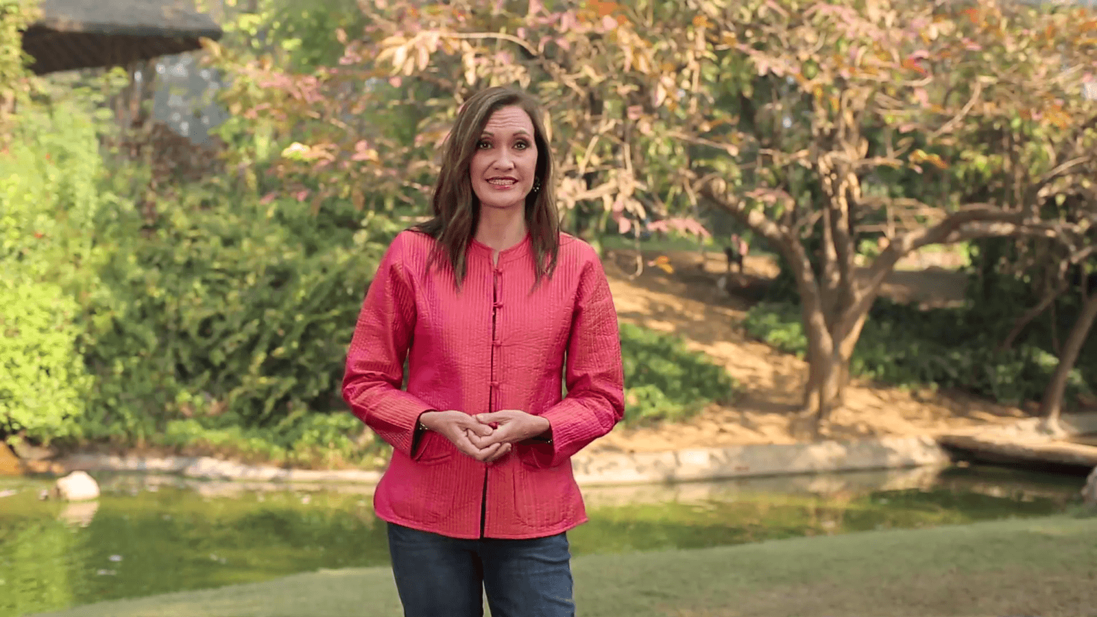 The Ayurveda Experience - Fundamentals of Ayurveda on Diet, Exercise, Meditation, Beauty and Body Work - Digital
