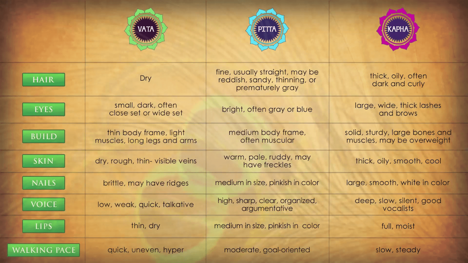 The Ayurveda Experience - Fundamentals of Ayurveda on Diet, Exercise, Meditation, Beauty and Body Work - Digital