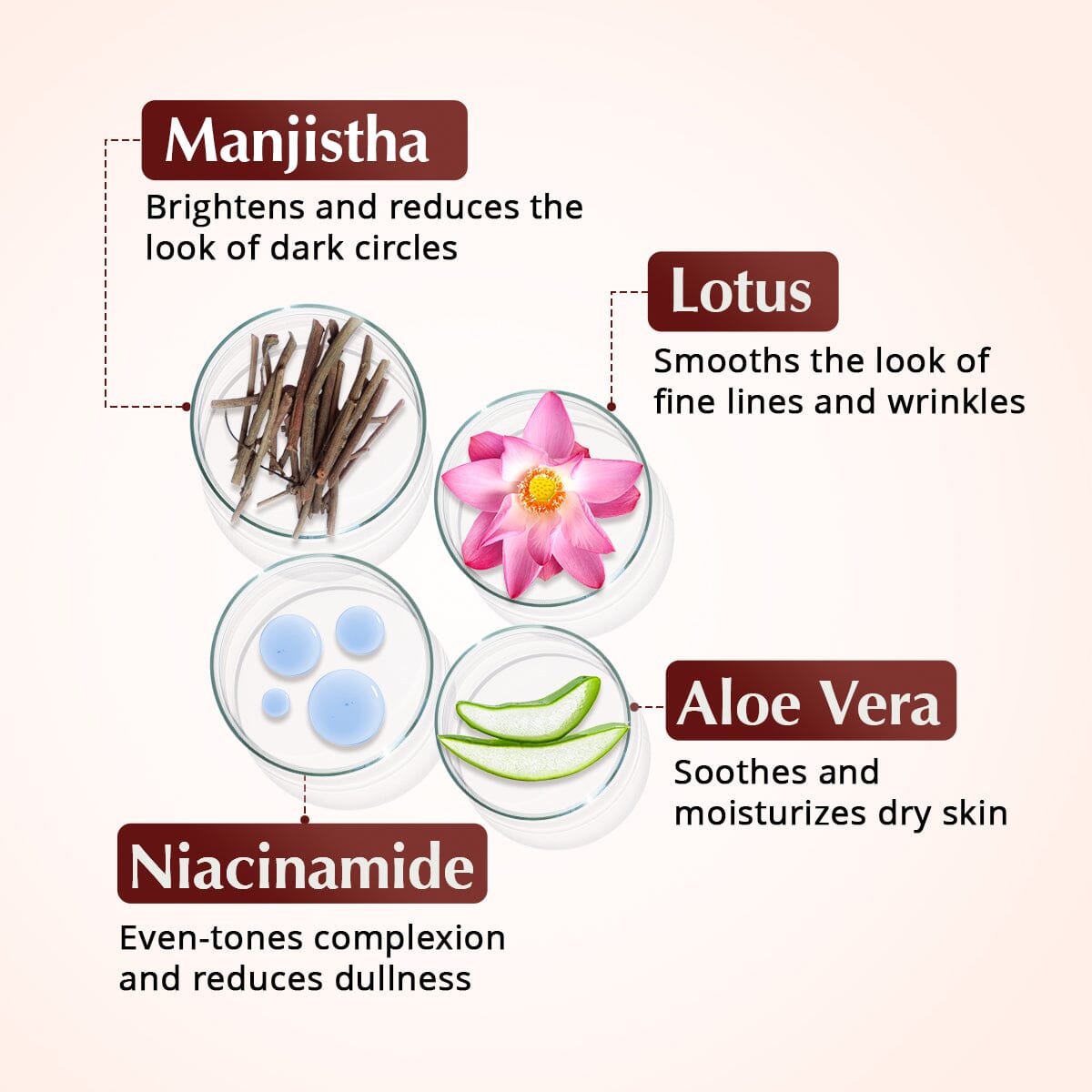 Rufolia PRO Periorbital Eyemulsion - Eye Contour Cream – Brighten, Firm and Moisturize Under-Eyes – New Formula with Manjistha, Aloe Vera, Lotus, and Niacinamide – Best Under-Eye Cream – With Clinically Tested Ingredients