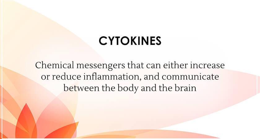 Ayurveda on Chronic Stress, Anxiety & Depression (Root Causes, Symptoms & Recovery)