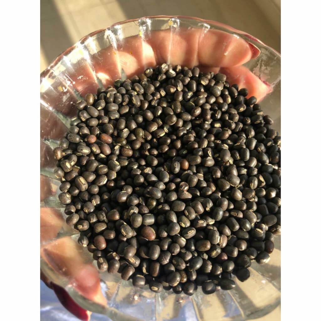 Balaayah Black Gram Body Booster -With the Richness of Black Gram & Himalayan Salt