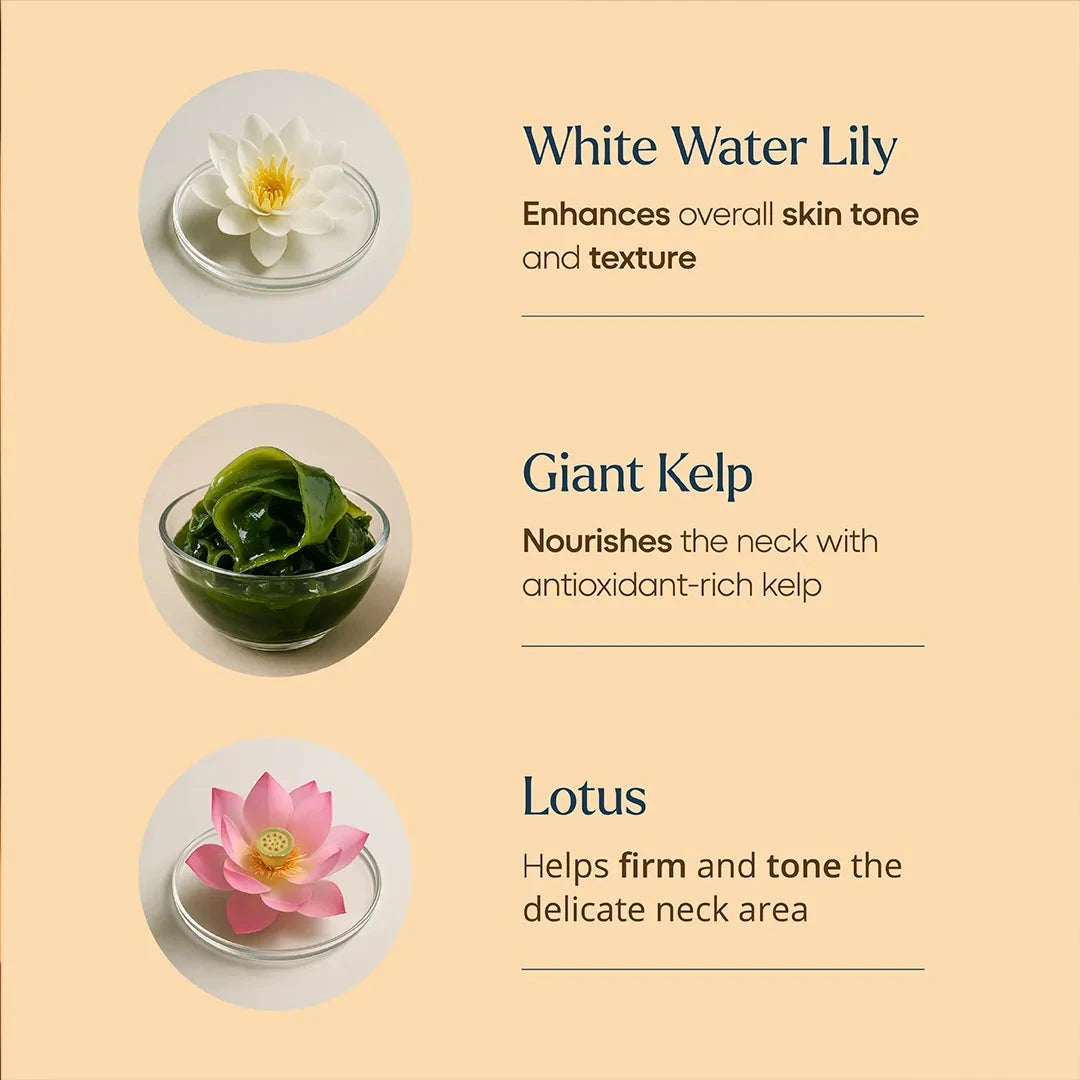 Firm-Focus Neck Mask - Lifts, Firms, Smooths the look of Loose, Saggy Skin on the Neck, Jaw, Chin & Upper Chest - Focused Neck Firming Action with Phyto-Ceramides and Water Lily - Best Firming Neck Mask