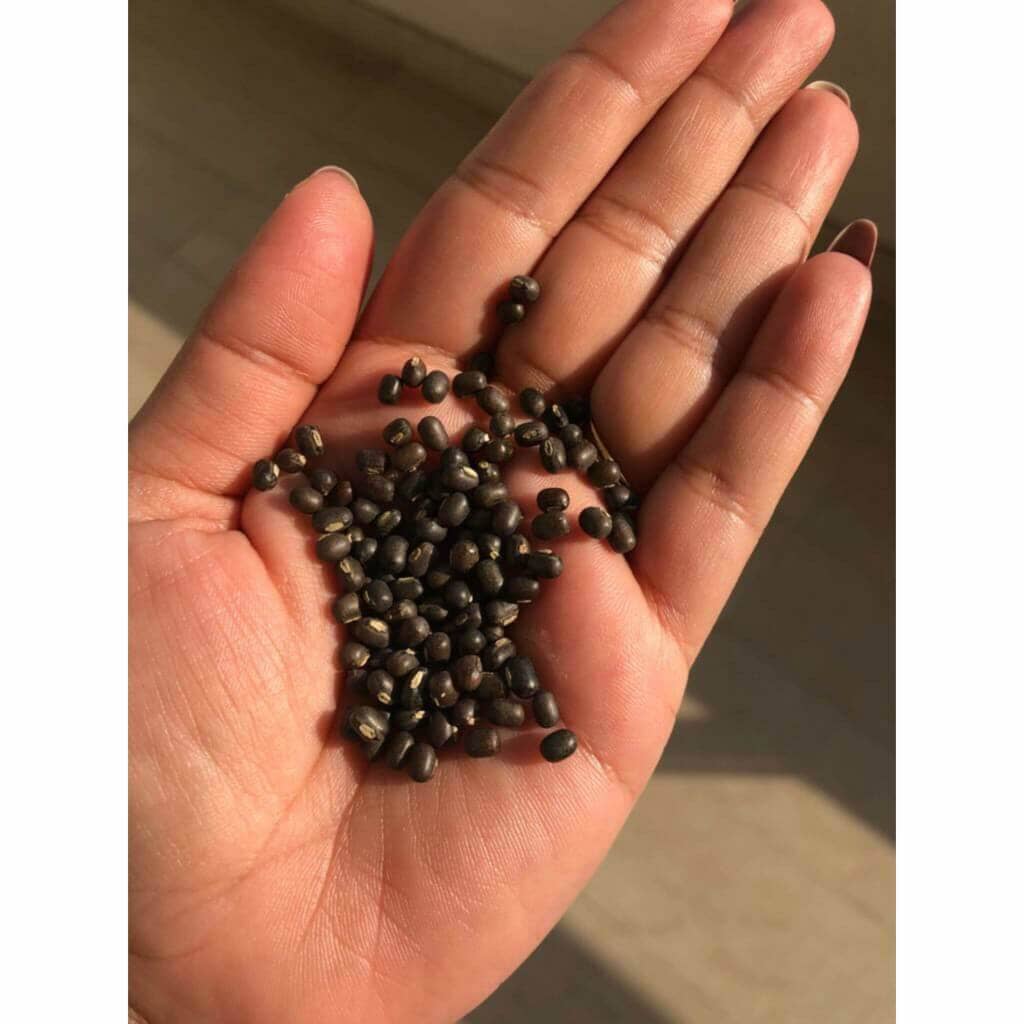 Balaayah Black Gram Bright Body Booster - Bestseller - With Lemongrass, Woody Cardamom, Orange, Sweet Jasmine - Pack of 2
