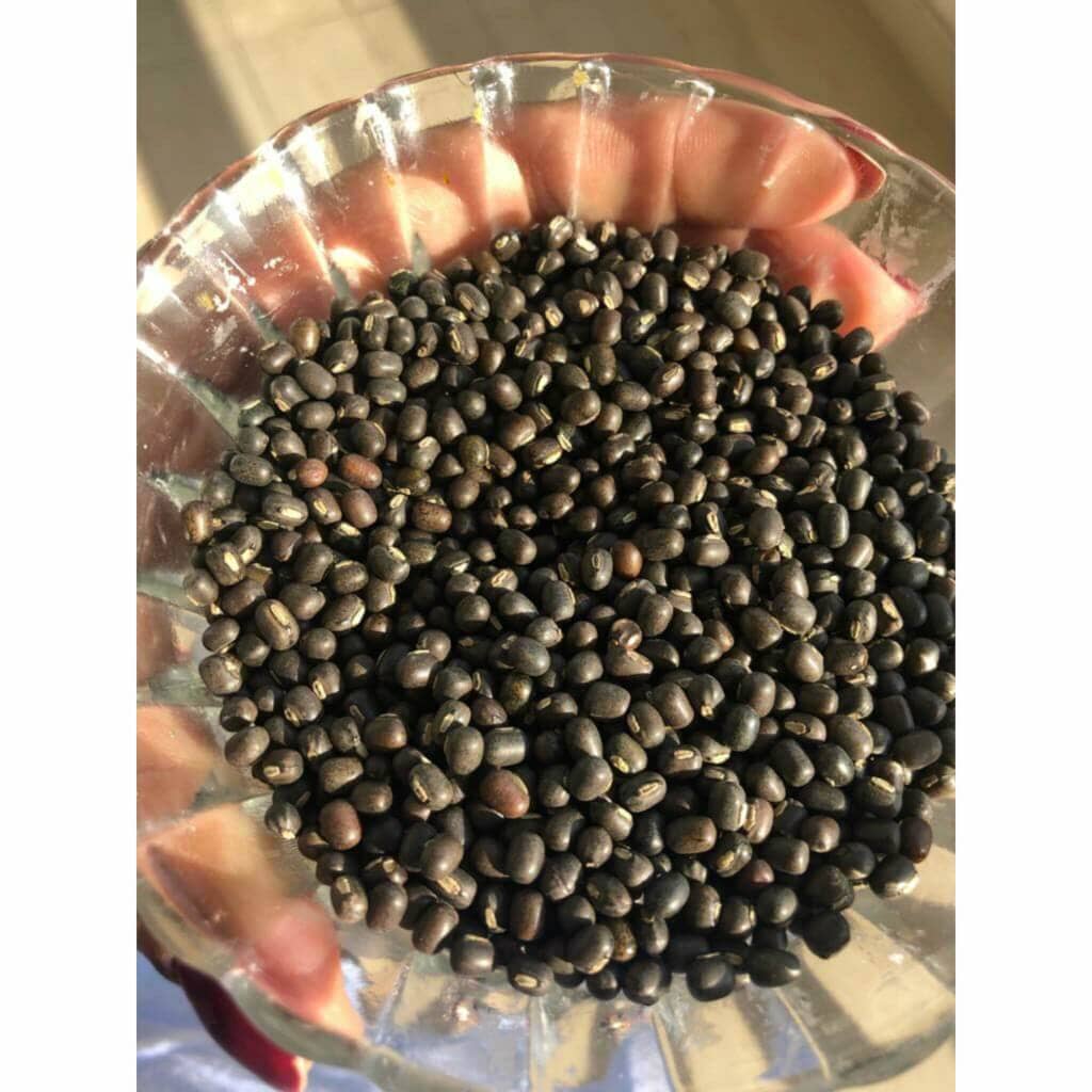 Balaayah Black Gram Bright Body Booster | With Sweet & Citrusy Aroma of Jasmine, Cardamom, Orange and Lemongrass |